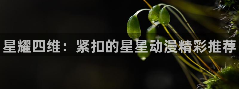 58动漫网站官网首页