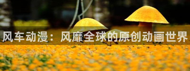 ,58动漫网：风车动漫：风靡全球的原创动画世界