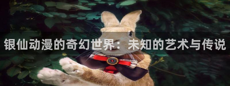 58动漫网站官网免费下载：银仙动漫的奇幻世界：未知的艺术与传说