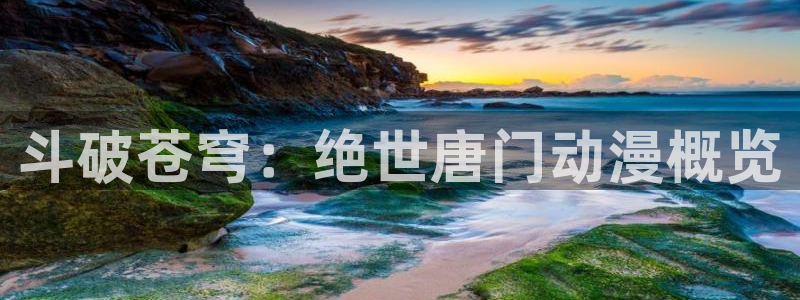 58动漫网下载：斗破苍穹：绝世唐门动漫概览