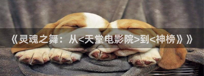 58动漫免费看：《灵魂之舞：从<天堂电影院>到<神榜》》