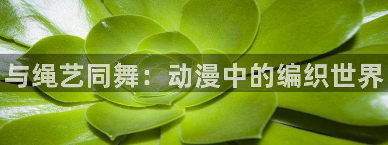 动漫网58动漫：与绳艺同舞：动漫中的编织世界