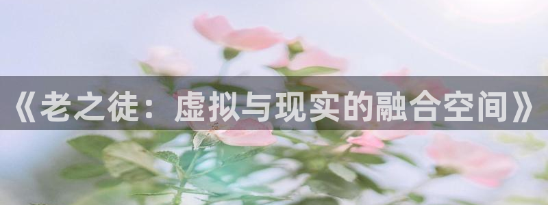58动漫在线免费观看：《老之徒：虚拟与现实的融合空间》