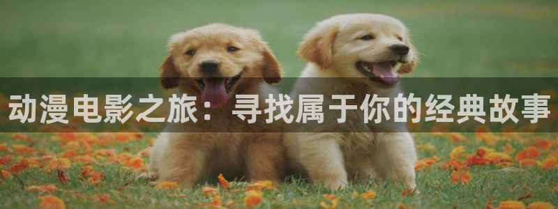 58动漫官网：动漫电影之旅：寻找属于你的经典故事