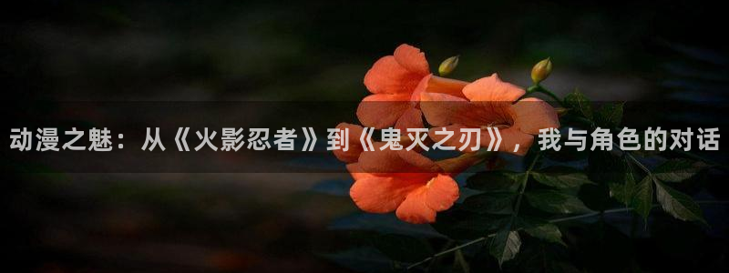 58动漫网页版：动漫之魅：从《火影忍者》到《鬼灭之刃》，我与角色的对话