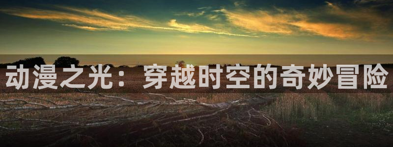 58动漫网：动漫之光：穿越时空的奇妙冒险