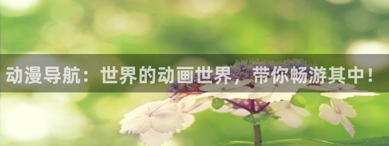 58动漫网站官网首页：动漫导航：世界的动画世界，带你畅游其中！